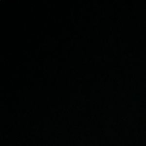 Meet your Posher, Bailey